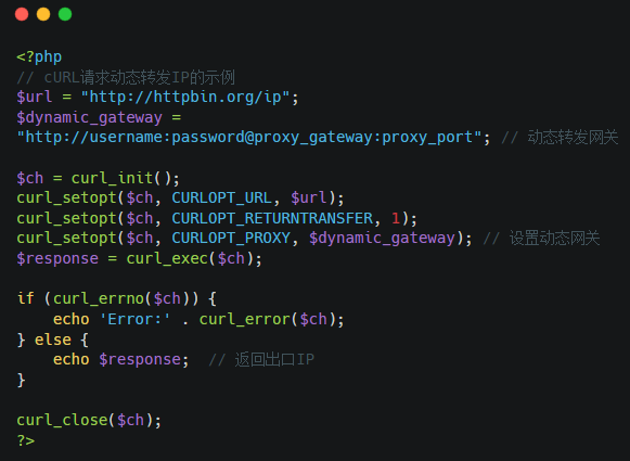 image-20250107175254164